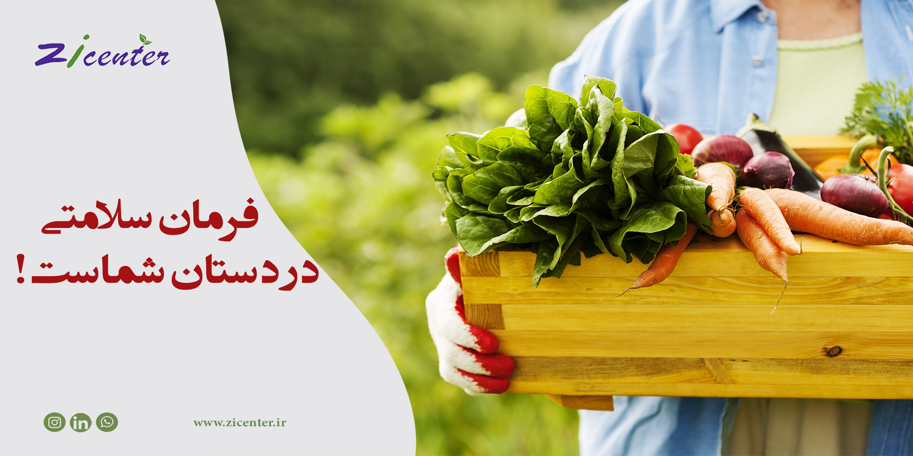 صفحه اصلی